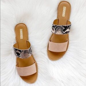 Blush Python Slides